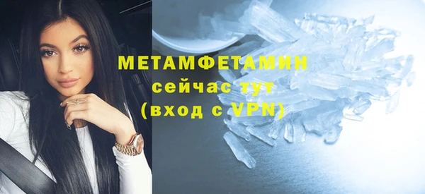 прущие грибы Краснотурьинск