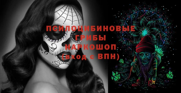 прущий лед Краснослободск