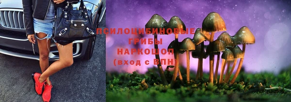 прущие грибы Краснотурьинск
