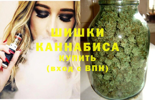 прущий лед Краснослободск