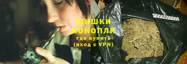 прущие грибы Краснотурьинск